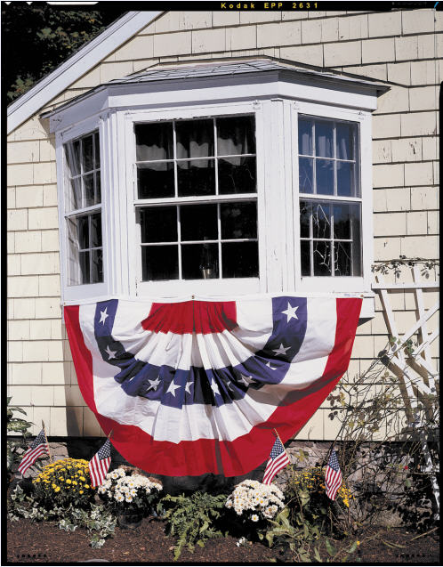 buy Patriotic Pleated Fans